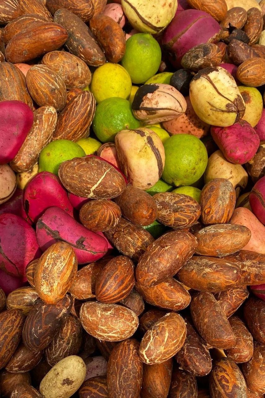 Discover premium Kola Nuts from Osuji Enterprise, carefully sourced from trusted growers and hygienically packaged to preserve their freshness and natural quality. Widely valued across Africa for their cultural significance, distinctive taste, and traditional uses, our kola nuts are perfect for ceremonies, social gatherings, gifting, and personal use. Experience authentic African heritage with every premium-quality kola nut.